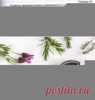 Травы для понижения калия в крови.: 4 тыс изображений найдено в Яндекс.Картинках