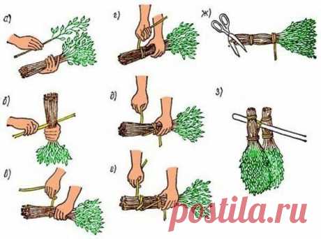 Новости