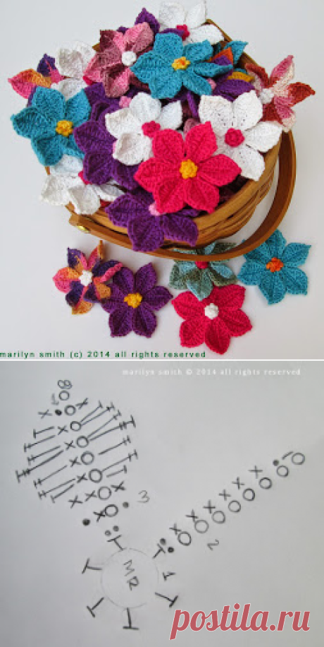 Evanescence : Flowers in the Wild