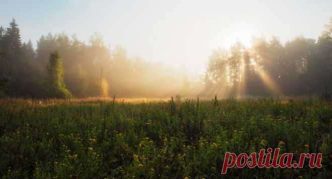 Утренние лучи
Atridas (с)