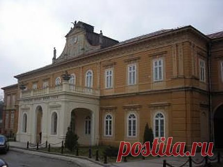 Zetski dom