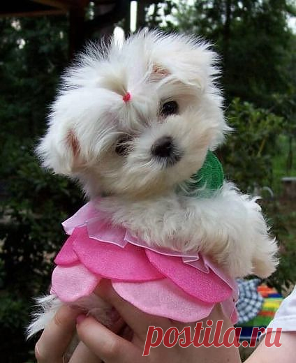 ❁⁀ ♥ ⁀✿ ✫ℒℴνℯ✫ ❁⁀ ♥ ⁀✿