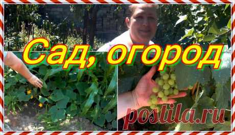 Анонс, следующего видео, канала Румянцевых на 22.07.18. Фото