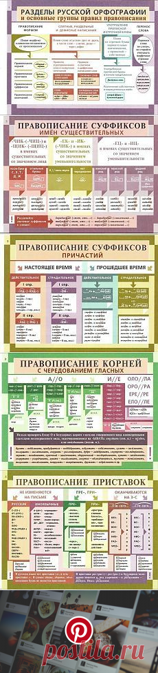 (336) Pinterest