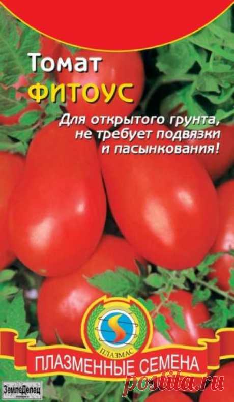 Дневник mtv59