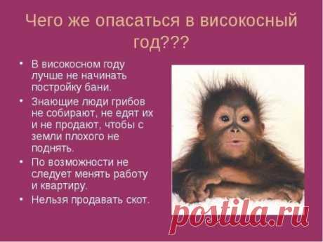 Чего надо опасаться в високосный год
