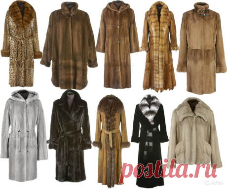 Как выбрать шубу и что нужно знать о мехах?