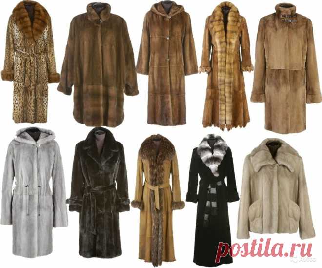 Как выбрать шубу и что нужно знать о мехах?