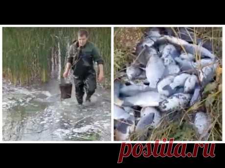 РЫБАЛКА НА КАРАСЯ ВЕДРОМ . СИБИРСКИЕ МУЖИКИ РЫБАЧАТ В КАЗАХСТАНЕ #oldenburgru_житейские_истории - YouTube
