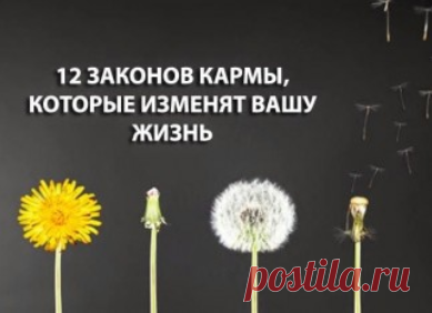 Мастер протянул светодиодную нить сквозь трубу. Спустя 2 дня в его сад заглядывали все соседи! - МирТесен