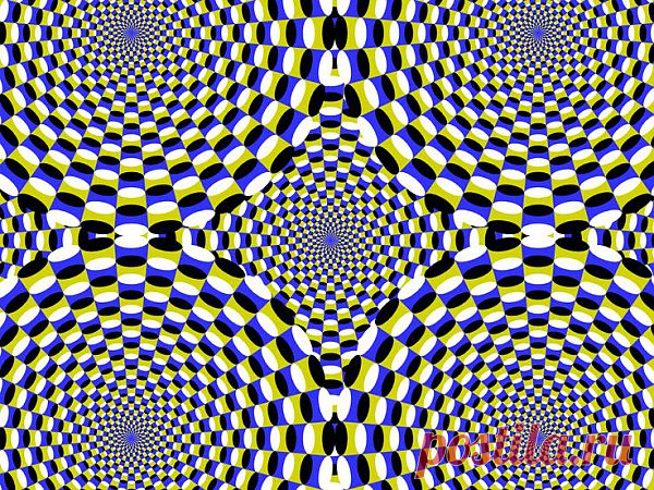 Illusion | Illusion