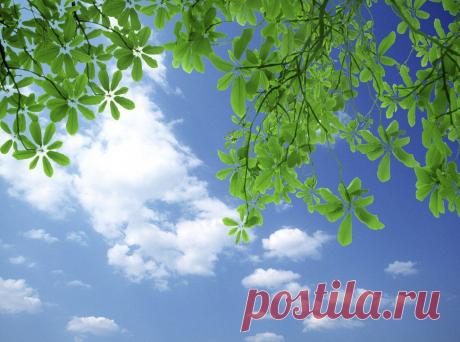 Небо на фотографии и в анимации, красивые картинки облаков