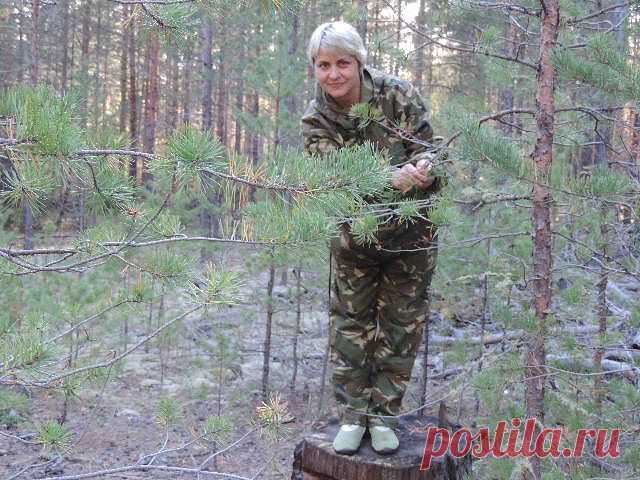 Люся В
49 лет, Россия, г. Тайшет (Иркутская область)
все её фото