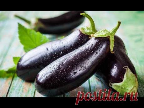 Чем полезны баклажаны для организма. И почему именно фиолетового цвета!