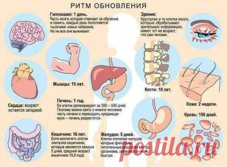 (3) Одноклассники