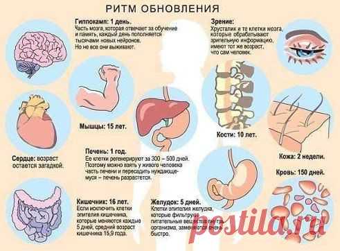 (3) Одноклассники