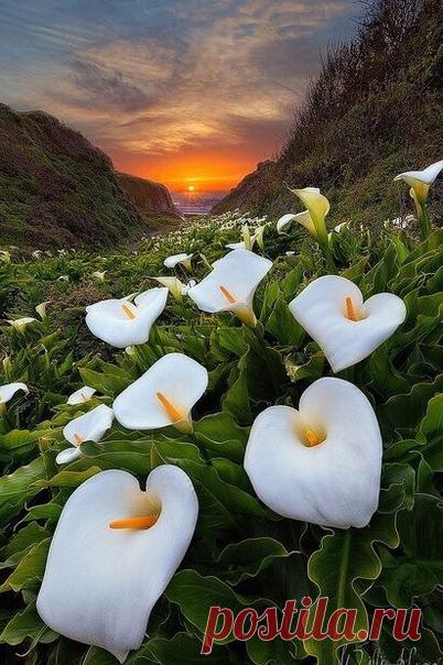 КАКОЙ СЕГОДНЯ ПРАЗДНИК? 22 Февраля 2020 г. – Суббота • Вселенская родительская суббота (Мясопустная суббота) • День приманивания хорошего настроения • Всемирный день размышлений (World Thinking Day) • Всемирный день энцефалита (World Encephalitis Day) • Международный день поддержки жертв преступлений30 лет • День памяти священномученика Панкратия Тавроменийского • День единства - Египет • День основателей движения скаутов (B-P Day, Scouts Founder`s Day) - США • День работника землеустройства,…