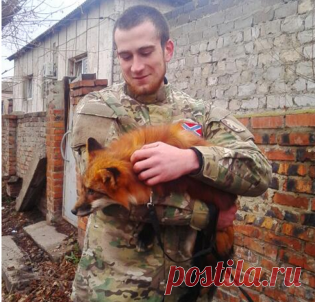 санек позывной лис днр: 1 тыс изображений найдено в Яндекс.Картинках