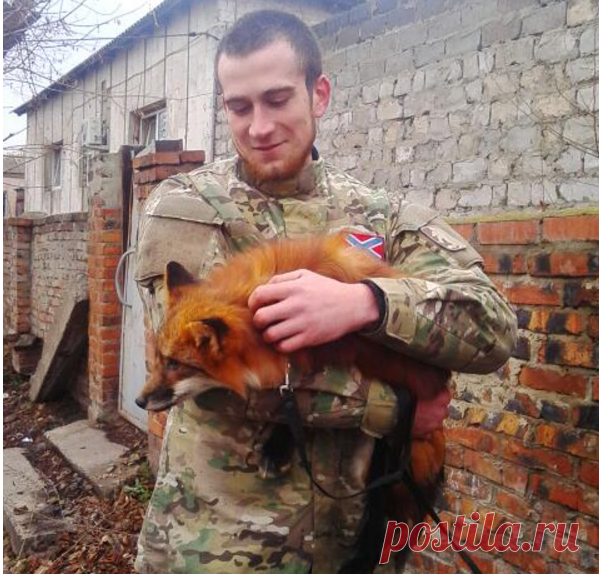 санек позывной лис днр: 1 тыс изображений найдено в Яндекс.Картинках