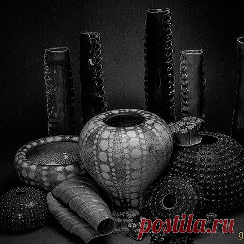 Underwater inspired still-life!
.
Display layouts can create beautiful visuals but also can tell a story!
.
Don’t you think?
.
.
.
.
.

#gayaceramic #raku #kinfolk #ceramics #ceramic #porcelain #makers #artisan #handmade #art #blackandwhite  #homedecor #naked #underwater #interiordesign #plate #decoration #table #tabledecoration #architecture #flower #restaurant #chef #hotel #design #floraldesign #platter #bali #ubud #instablackandwhite