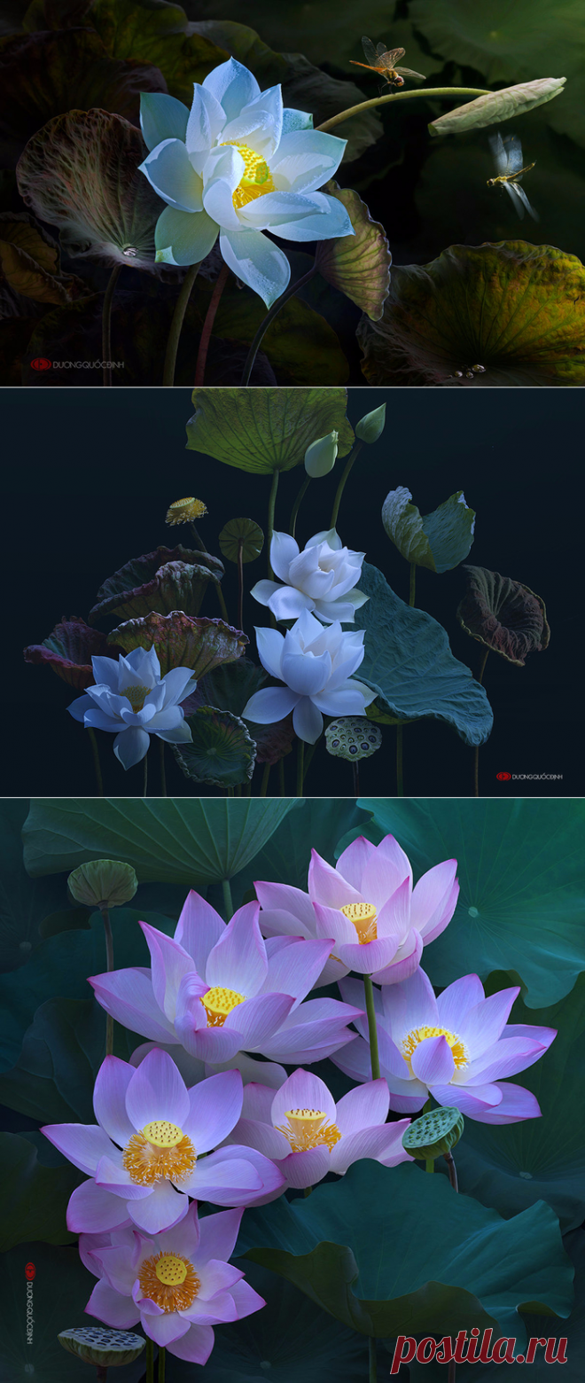 ❀ Невероятно красивые цветы Duong Quoc Dinh ❧