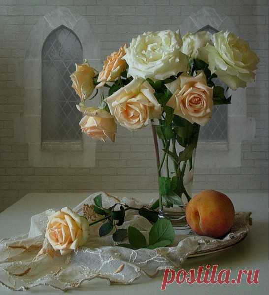 НАТЮРМОРТЫ - 499 фото. Фотографии olga zadorojnaya.