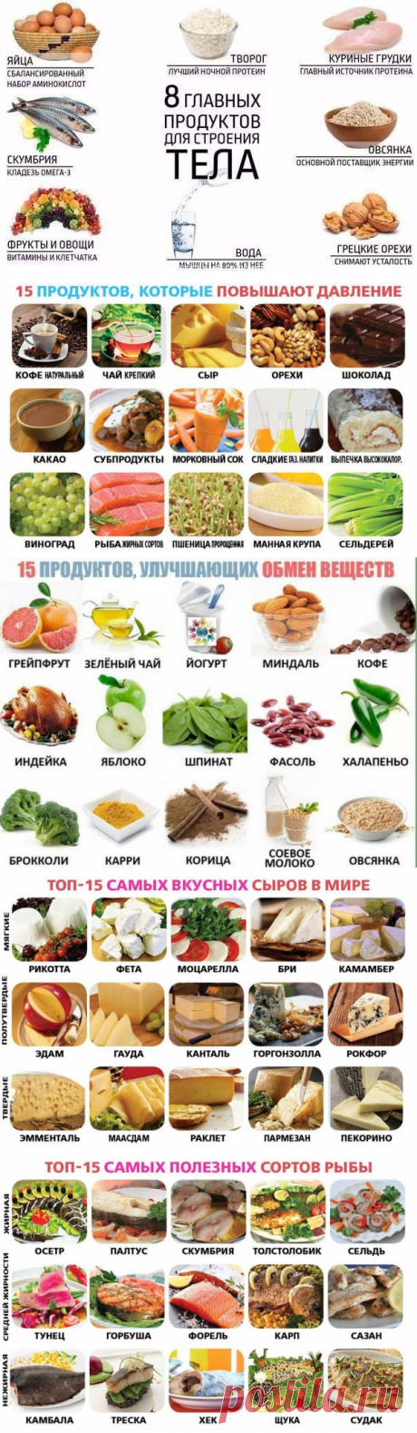 Кулинарные подсказки | Делимся советами