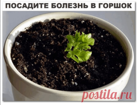 (20) Одноклассники