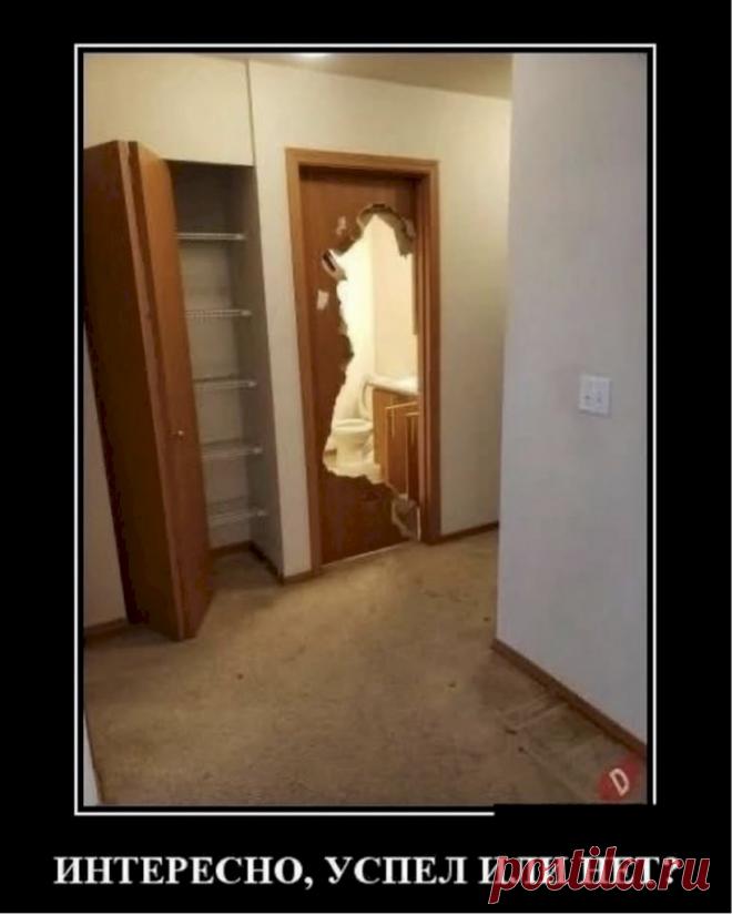 0609b82c.jpg (819×1024)