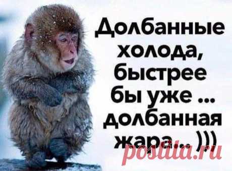 20 анекдотов, шуточек и историй в картинках, которые развеселят всех и каждого Юмор жизненно необходим всем и всегда — утром, днем и вечером, в мороз и жару, в трудовые будни и солнечные выходные, в богатстве и бедности, цейтноте и праздности, в Сосновке и на Мальдивах.