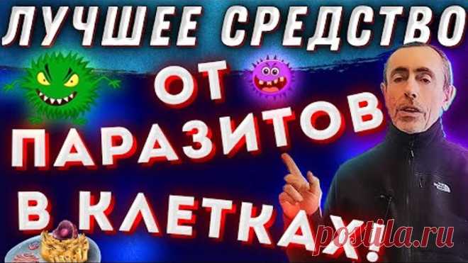 Лучшее Средство от Паразитов в Клетках!