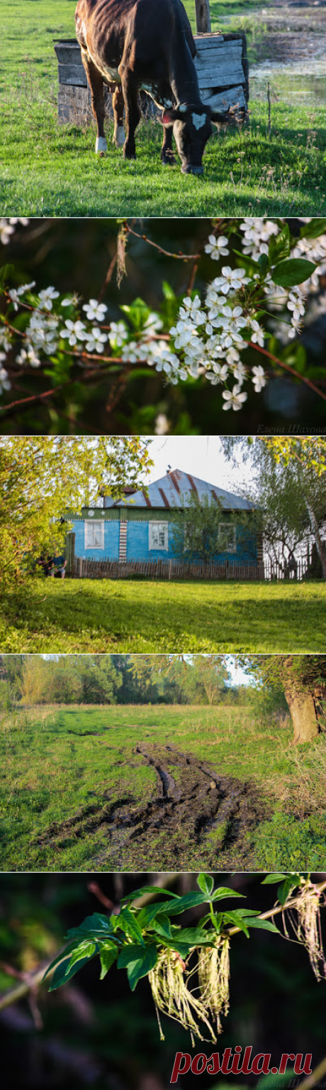 Тихий вечер|ЕРУНДОПЕЛЬ