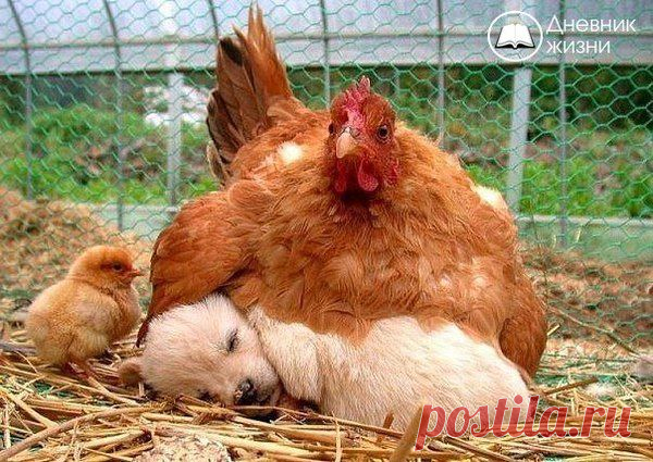 Чудо, на котором держится Мир... | Я так вижу
