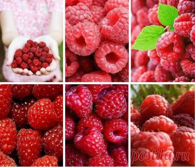 Миммммм....вкусно!!!!