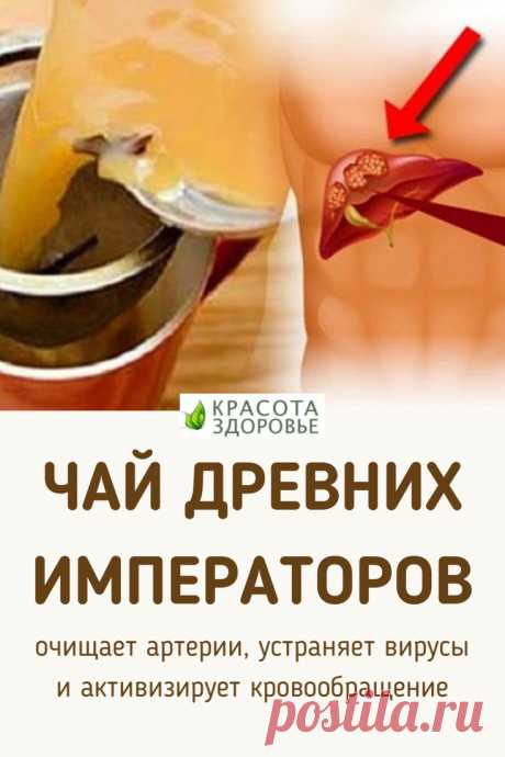 Чай древних императоров: очищает артерии, устраняет вирусы и активизирует кровообращение! ➡️ Кликайте на фото, чтобы прочитать статью полностью