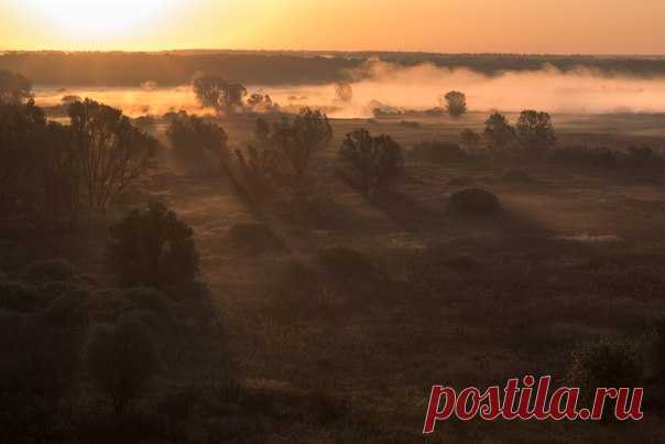 «Следы восхода». Автор фото — Андрей Васильевич: nat-geo.ru/photo/user/122313/