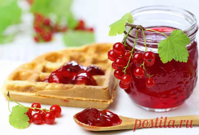 Желе из красной смородины с желатином, рецепт на зиму