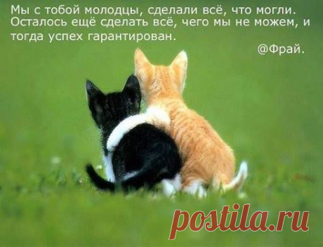 (95) марина терещук