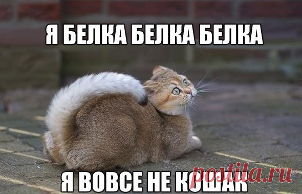 ***