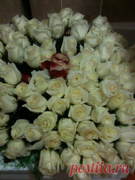 Мой Мир@Mail.Ru