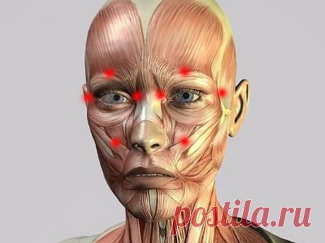 Волшебные точки: тайный код молодости – Омутнинские Вести+