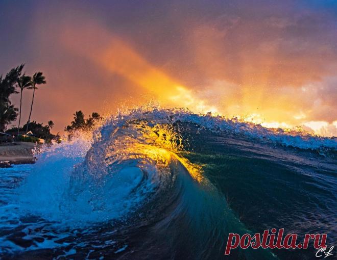 Стихия воды в 50 фотографиях знаменитого фотографа Clark Little - Photar.ru