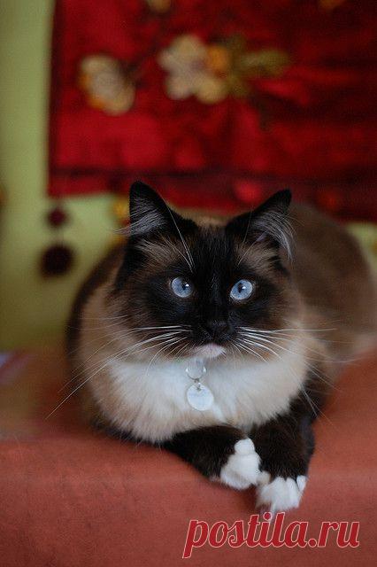 DSC_0918 | Flickr - Photo Sharing!