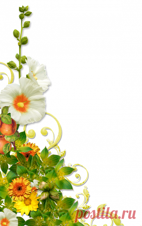 разные красивые элементы для оформления на прозрачном фоне: 13 тыс изображений найдено в Яндекс.Картинках