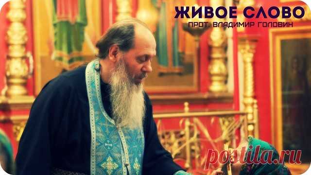 5 непрочитанных чатов