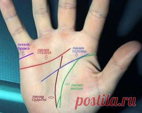 Ваши руки говорят: то, как расположена линия сердца, определяет всё в вашей жизни