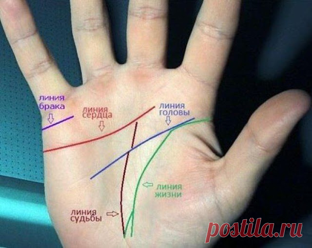Ваши руки говорят: то, как расположена линия сердца, определяет всё в вашей жизни