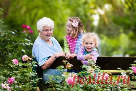 Какие растения помогут не болеть?