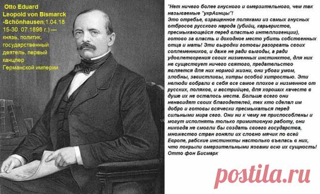 Злобные пигмеи. | Политика