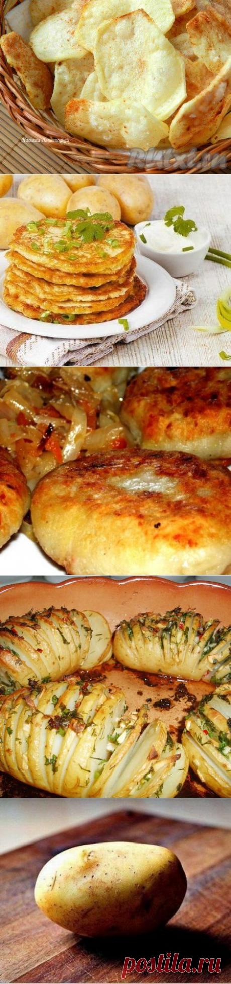 10 вкуснейших блюд из картофеля - МирТесен